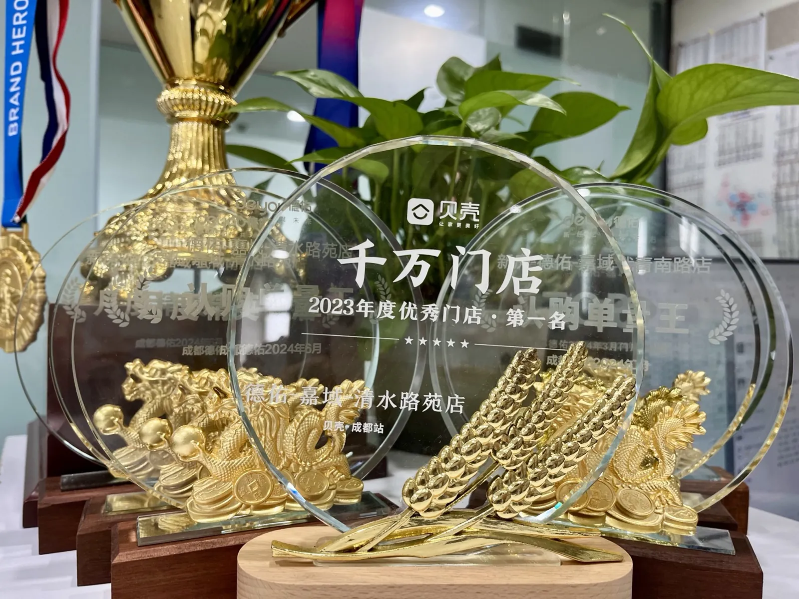 嘉域荣誉奖杯陈列